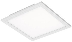 Briloner 7191-016 - LED Mennyezeti lámpa SIMPLE LED/12W/230V