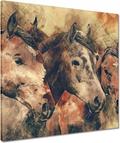 Vászonkép 60x60 Lófejek