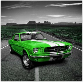 Poszterek 100x100 Lime Mustang