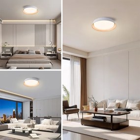 BRILAGI - LED dimmelhető mennyezeti lámpatest ORINO LED/54W/230V 3000-6000K fehér átm. 43 cm + távirányító