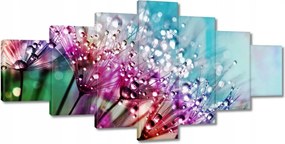 Képek 210x100 harmatcseppek Pitypang