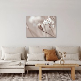 Kép - Ág részlet (70x50 cm)