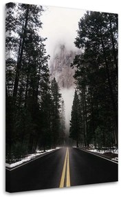 Gario Vászonkép Út a ködös erdőben - Nikita Abakumov Méret: 40 x 60 cm
