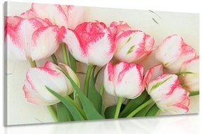 Kép tavaszi tulipánok
