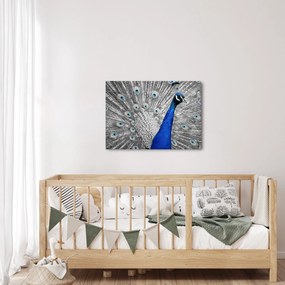 Kék páva képe (70x50 cm)
