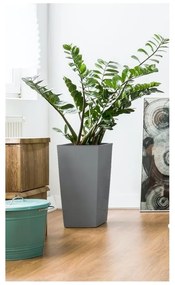 PX Szögletes Üvegszálas Elegáns Kaspó - szürke