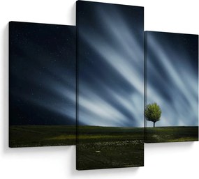 Az aurora borealis képe egy lápvidéken (90x60 cm)
