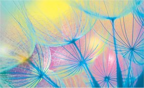 Fotótapéta Pitypang golyók Makro finomság és nyugalom 416x254 +ragasztó