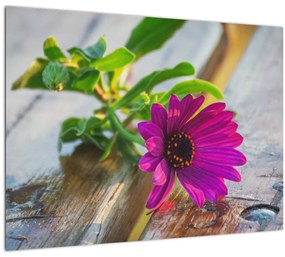 Vágott virágok képe (70x50 cm)