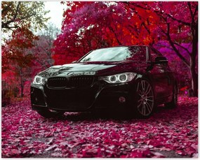 Poszterek 50x40 Fekete Bmw Ćsz
