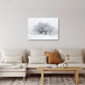 Kép - fehér tél (üvegen) (70x50 cm)