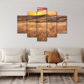 Mező képe (150x105 cm)