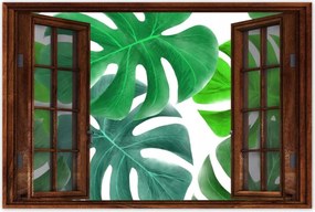 Poszterek 120x80 Levelek Monstery Trópusok