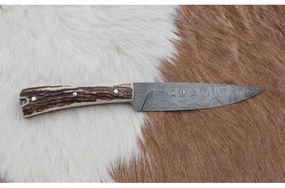 Vadász dispatch kés 12 cm szarvas agancs