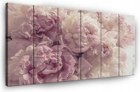 Vászonkép Virágok Bazsarózsa Fal 6 Részes Hálószoba Nappali 180x100