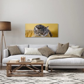 Macska a kanapén képe (120x50 cm)
