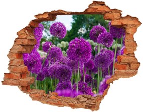 3d lyuk fal dekoráció Virágok fokhagyma nd-c-99930087