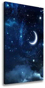 Vászonkép falra Csillagos égbolt ocv-67422052