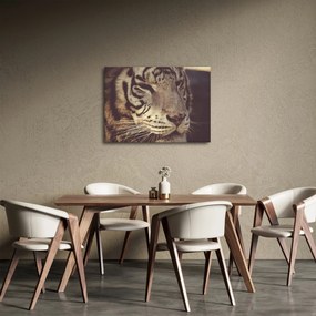 Tigris képe (70x50 cm)