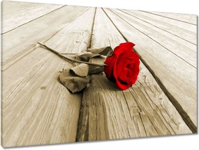 Vászonkép 90x60 Vörös rózsa a deszkákon