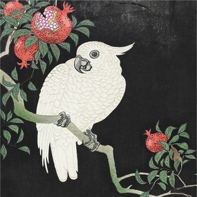 Fotótapéta Flizelin Dekoratív az irodába Papagáj gránát 250x104 Ragasztó