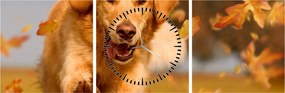 Kép - Golden Retriever (órával) (90x30 cm)