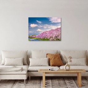 Kép - Japán tavaszi táj (70x50 cm)