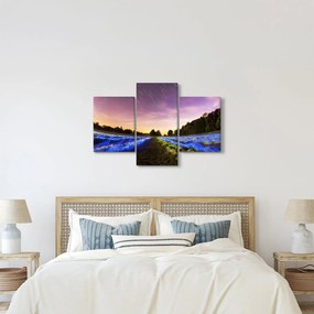 Színes mező képe (90x60 cm)