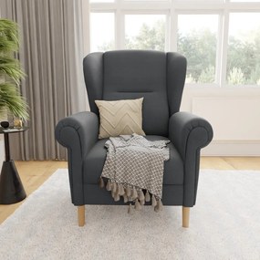 Sötétszürke füles fotel Swan – Ropez