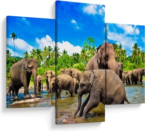Kép - Elefántok, Sri Lanka (90x60 cm)