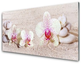 Fali üvegkép Orchidea Orchidea Sand 120x60cm 2 fogas