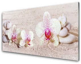Fali üvegkép Orchidea Orchidea Sand 120x60cm