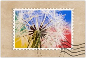 Poszterek 60x40 Pitypang színes