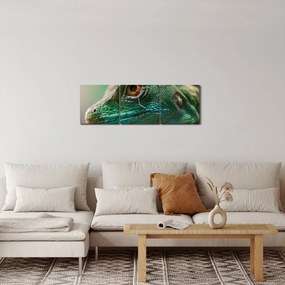 Részletes kép a gyíkról (órával) (90x30 cm)