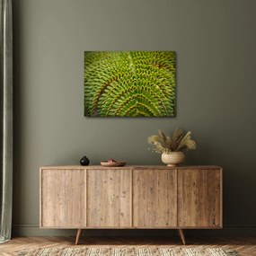 Kép - Fern (70x50 cm)