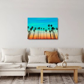 Üveg kép - Kalifornia (70x50 cm)