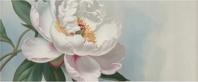 Dekoratív fotótapéta falra Könnyű összeszerelés Gyönyörű peónia 250x104 ragasztó