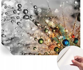 Öntapadós Dekoratív Fotótapéta Hálószobába Rosa ékszerek 208x146 cm