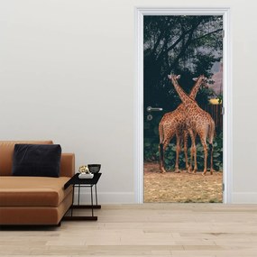 Fotótapéta ajtóra - Két zsiráf (95x205cm)