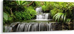 Kép - vízesés az esőerdőben (120x50 cm)