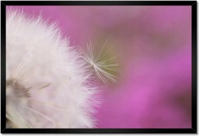 Poszterek keretben 60x40 Pitypang Virág Virágok