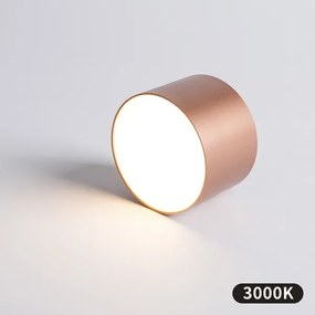 BRILAGI - Fürdőszobai mennyezeti lámpatest FORIS LED/9W/230V átm. 9 cm bronzszínű IP44