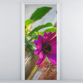 Fotótapéta ajtóra - Vágott virágok (95x205cm)