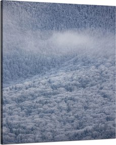 Vászonkép Természet Hófödte erdő 80x100 cm