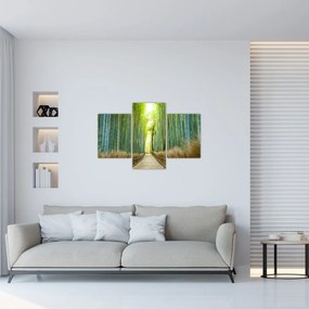 Kép - Bambusz erdő (90x60 cm)