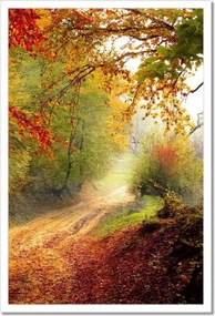 Poszterek keretben 40x60 Tájkép