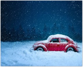 Poszterek 50x40 Bogár