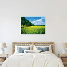 A mező képe egy sikátorral (üvegen) (70x50 cm)