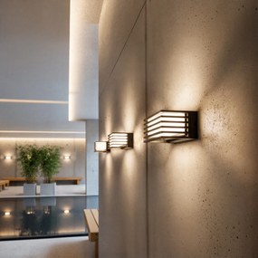 RENDL CLAIRE 14 fali lámpa antracit opálakril 230V LED 6W IP54 3000K