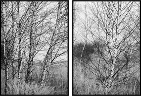 Poszter falra fa fekete-fehér 2db 60x90cm